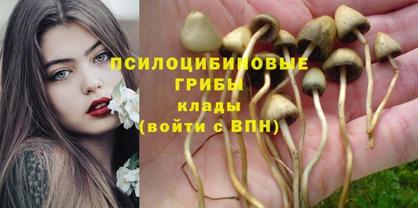 эйфоретик Алексин