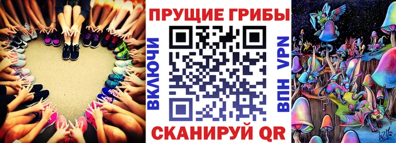 Галлюциногенные грибы мицелий  Сосновка 